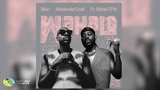 Bien Adekunle Gold and ShineTTW  Wahala Official Audio [upl. by Nosral582]