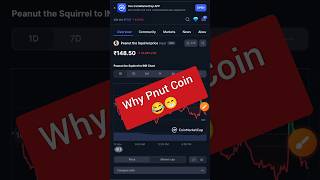 PNut coin news bitcoin cryptocurrency cryptonews shortvideo [upl. by Radmilla]