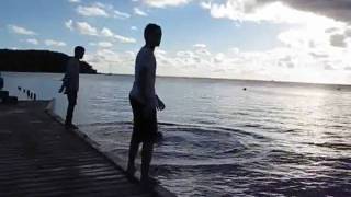 We Be Jumping at old Pier in Esperanza Vieques [upl. by Salli]