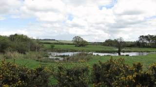 Abbey Farm Flitcham Norfolk  View From The Hide [upl. by Agathy]