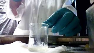 Mixing equal parts Titanium Butoxide with Nitric Acid [upl. by Jules]