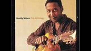 Muddy Waters  The Same Thing [upl. by Onitnelav]