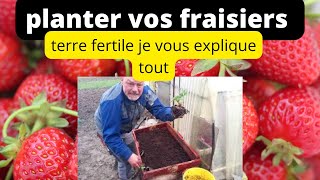 comment planter des fraisiers dans son jardin [upl. by Nrek]