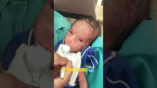 Spoon 🥄 feeding 🥣newbornbaby nicu [upl. by Serrell579]