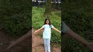 Darjeeling miriktour pineforest shortsfeed aroneesvlogs [upl. by Llednar]