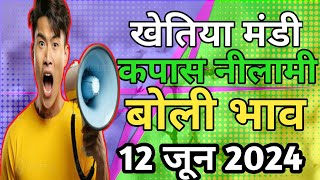 12 जून 2024 खेतिया मंडी कपास नीलामी बोली भाव [upl. by Reel420]