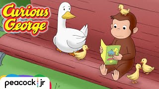 George Helps a Family of Ducks  CURIOUS GEORGE [upl. by Yleve]