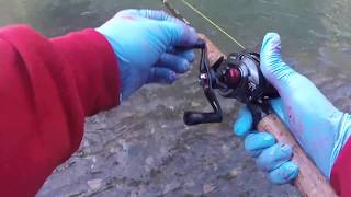 Bobber fishing Fall Chinook in Oregon [upl. by Arah]