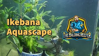 How to Ikebana Aquascape [upl. by Adnerol]