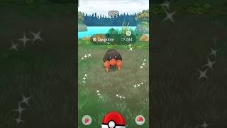 Catching of shiny ✨ dwebble in Pokemon go 🥳 [upl. by Solim]