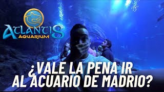 ATLANTIS AQUARIUM MADRID hecho para la familia  Acuario de Madrid [upl. by Naomi]