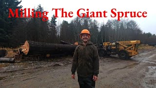 Milling The Giant Spruce [upl. by Nohpets]