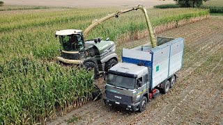 Krone Big X 1180  Trinciato mais 2024 [upl. by Aziul45]