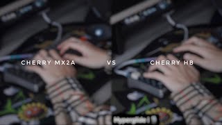 Cherry MX2A vs Cherry Hyperglide which one’s better soundtest mechanicalkeyboard mx2a cherryHB [upl. by Cory278]