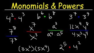 Multiplying and Dividing Monomials [upl. by Alaster285]