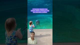 Dolphin fishviralvideo [upl. by Ayenet]