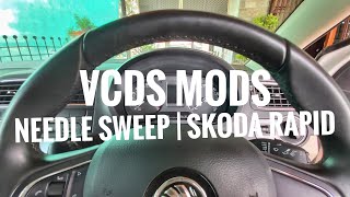 Needle sweep  VCDS Tweaks on Skoda Rapid Ambition Rider RiderPlus [upl. by Teik705]