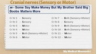 Cranial Nerves  My Medical Mnemonics [upl. by Kuhlman]