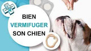 Tuto véto Comment vermifuger son chien  Conseils vétérinaires [upl. by Klimesh]