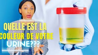 QUELLE EST LA COULEUR DE VOTRE URINE [upl. by Dionne]