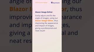 A Simple Way to Adjust Image Angles  Blazor Image Editor [upl. by Yesdnil434]