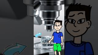 Exploring the World Up Close Microscopic Wonders Part1 shorts knowledge facts [upl. by Pestana270]