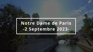 The Reconstruction of Notre Dame de Paris  2 SEPT 2023 4K [upl. by Gaal]