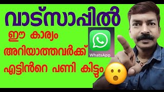 ഇത് അറിയില്ലെങ്കിൽ പണിയാകും  WhatsApp important contact settings Malayalam WhatsApp permissions [upl. by Guenzi215]