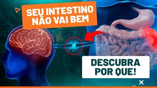 QUAL A IMPORTÂNCIA DO INTESTINO PARA SAÚDE Fisioprev [upl. by Fleming]