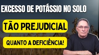 EXCESSO DE POTÁSSIO NO SOLO Tão Prejudicial Quanto Sua Deficiência [upl. by Clo991]