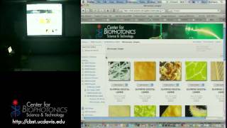 Handson Spectrophotometry with Light Sources [upl. by Treharne]