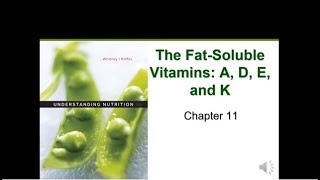 Fat Soluble Vitamins Vitamins A D E K  Nutrition Essentials for Nursing  LevelUpRN [upl. by Hibben898]