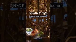 Must visit rooftop NYC🍸chelsea nyc nycbar nycrestaurant 뉴욕 뉴욕브이로그 shortvideo gallowgreen [upl. by Lovmilla]