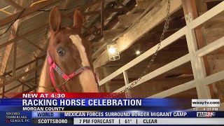 50th Annual Racking Horse World Celebration gets started in Priceville [upl. by Kast]