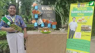 BUDIDAYA TANAMAN SERAI  AHSAN SDN KETABANG I [upl. by Zorine]