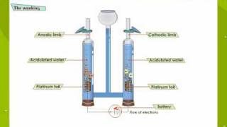 Electrolysis Of Water [upl. by Decamp]