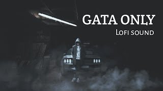 Gata only song in lofi sound official music [upl. by Oisorbma24]