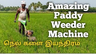 Amazing Paddy Weeder Machine நெல் களை இயந்திரம் [upl. by Bidle]