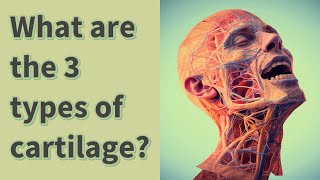 What are the 3 types of cartilage [upl. by Amerd]