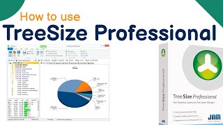 What is TreeSize Professional software  How to use  Tutorial in Hindi  Full explained  TreeSize [upl. by Marlo792]