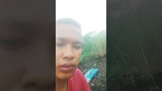 GIUNSA NAMO PAGHIMO SA AMONG COMPOST PEATTANAWA NI NGA VIDEO ☺️☺️🤗 [upl. by Bowlds]