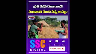 Fine Rice To All Ration Card Holders From January  Shorts Sscdigital Balannamuchatlu [upl. by Roche160]