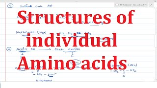 2 Structures of individual amino acids  Structural classification of amino acids [upl. by Billie]