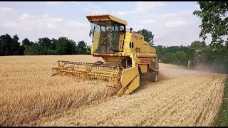 ★Żniwa 2019★Jęczmień Jary★New Holland 8050★ [upl. by Annasoh845]