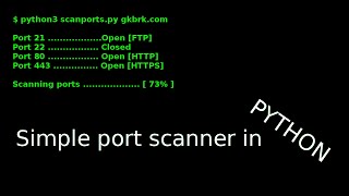 Making a port scanner in Python [upl. by Mag]