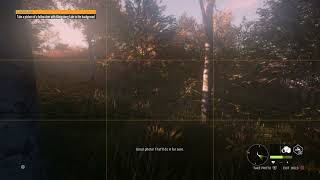 theHunter Call of the Wild  Hirschfelden Missions quotJager  The Deer And The Seaquot [upl. by Eskil37]