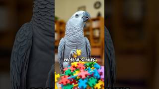 Gray Parrot The Bird That Can Talk Like a Human 🦜😱 grayparrot parrot [upl. by Ravens]