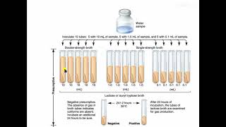 Microbiological Examination of Water MPN [upl. by Roxy]