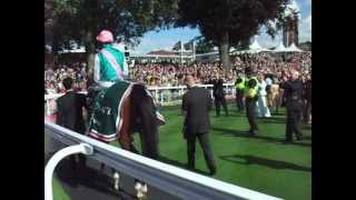 Frankel and Tom Queally York 2012 return after winning the International Stakes [upl. by Jerrylee]