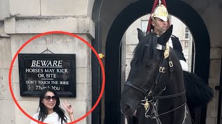 New Signboard at Horse Guard Parade Don’t Touch the Horse – A MustSee [upl. by Assirrac]